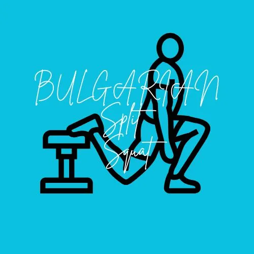 Bulgarian Split Squat